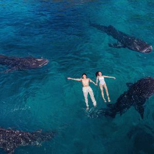 Плавание с Китовыми акулами и водопад Tumalog из Думагетти