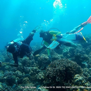 Carabao Dive Center